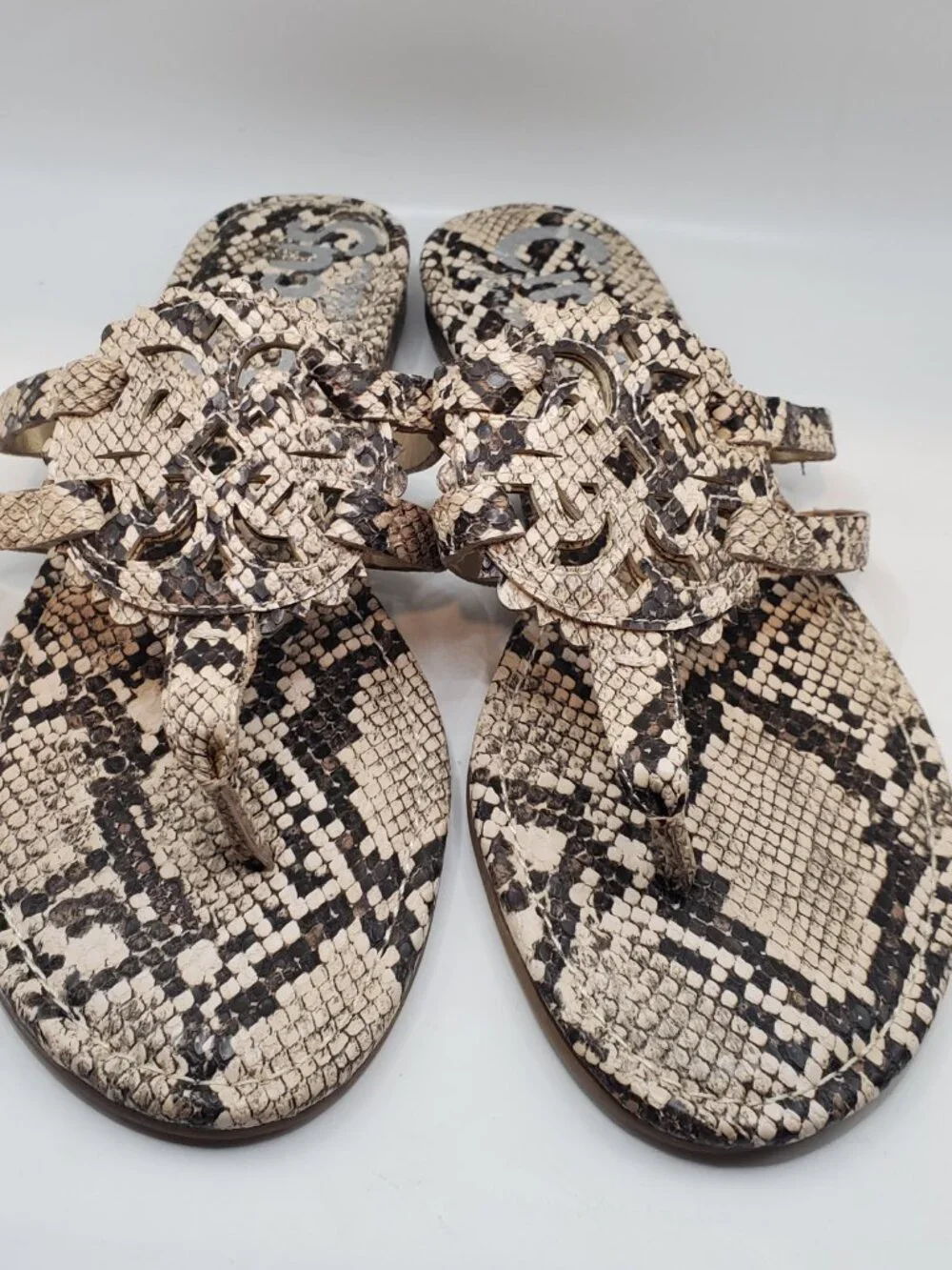 Circus by Sam Edelman Snakeskin Size 8 Slide Sandals